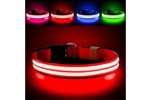 PcEoTllar Light Up Dog Collar - Rechargeable, Waterproof, Adjustable LED Collar for Night - Flashing, Glowing for Small Medium Large Dogs-Red-M