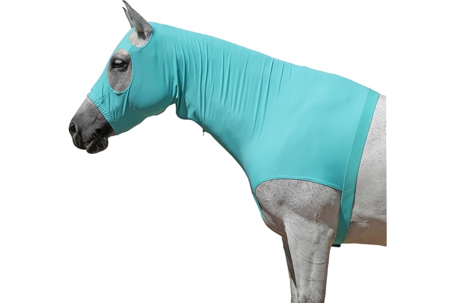 Leberna Horse Stretch Hood Without Ears Snug Fitting Hood with Zip Closure Covers Face, Shoulders, Mane, Chest and Withers Perfect for Show/Event Preparation (Turquoise Green, S)