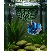 Modern Betta Balığı Dinlenme Alanı ve &Uuml;retim Yuvası &ndash; Akvaryum Aparatı | Suckup ile Tankta Asılı, Delikli Tasarım, Balık Barı