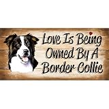 Funny Wooden Sign – “World’s Best Neighbour” Wall Plaque | Gift With Adhesive Pads - View #10