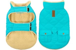 CITÉTOILE Abrigo para Perro Impermeable y Antiviento – Chaqueta Térmica de Invierno con Forro de Lana, Ropa Cálida para Perros con Agujeros de Correa y Reflejantes, Azul Claro, XS