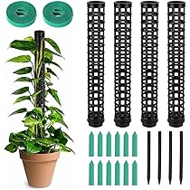 Sphagnum Moos Dünger 125g - Orchideen Substrat Bodenverbesserer