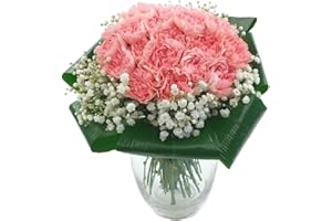 Clare Florist 2 Dozen Pink Carnations Fresh Flower Bouquet - Stunning Collection of Pink Floral Tones to Brighten Your Home