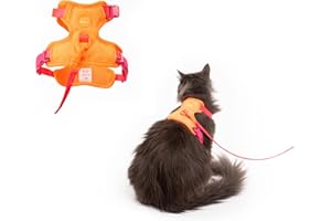 LucyBalu® Explorer Katzengeschirr mit Leine | ausbruchsicheres Katzengeschirr mit AirTag Fach | Katzen Brustgeschirr mit Katzenleine | Sicherheitsgeschirr mit Leine für Katzen | Berry Orange XS/S