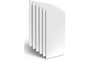 D&D POLISTIROLO D. & D. Polistirolo® 10 LASTRE POLISTIROLO MULTIUSO 100 cm x 50 cm SPESSORE 1 cm, EPS 80, DENSITA' 15 Kg/m³