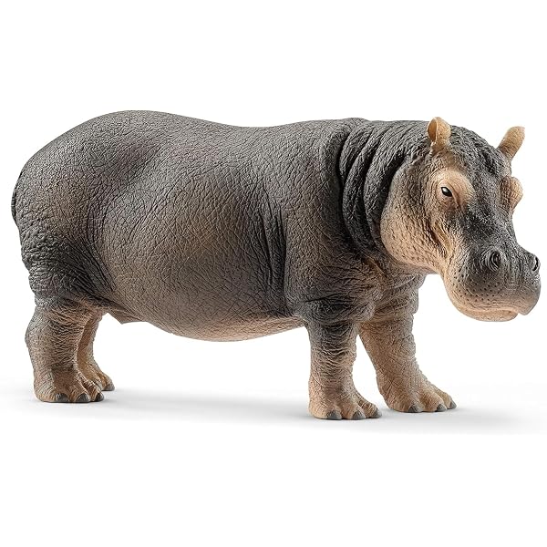 Hippos The Ultimate Hippo Book for Kids: 100+ Amazing Hippopotamus