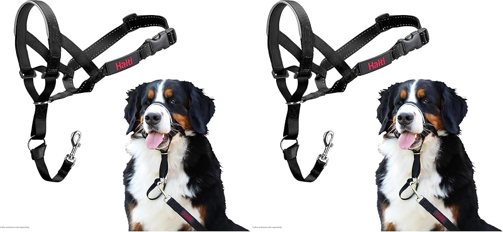 Durağı'nın Halti Headcollar, Köpek Harness Küçük, Orta ve Büyük Köpekler, Siyah, Boyut 4 için, Lead üzerinde Çekme (2 paketi)