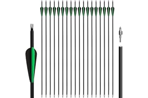 NorthSpoor 18 Pcs Archery Carbon Arrow Set, 30 Inch with Removable Arrows for Compound and Recurve Bows Practice Hunting Arrows