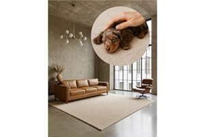 ‎TEXMAXX TEXMAXX Weicher Kurzflor Teppich Wohnzimmer mit rutschhemmender Rückseite (160 x 230 cm) - Modern für Flur, Esszimmer und als Schlafzimmer Teppich in Creme hell - Waschbar bis 30 Grad