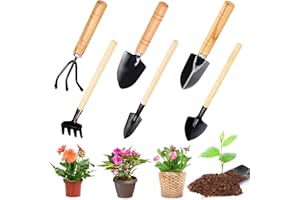‎ENCURYNA Gartenwerkzeug Set,6-teiliges Gartenschaufel Klein Gartengeräte Set,Mini Gartenwerkzeugen Schaufe für Gartenutensilien wie Blumen Pflanzen, Umpflanzen und Erde Auflockern