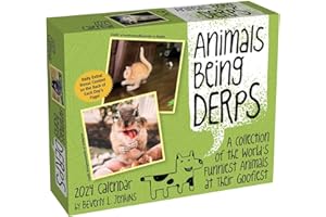 Animals Being Derps 2024 Day-to-Day Calendar