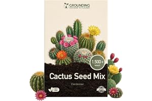 Grounding - Mixed Cactus Seeds, Globe-Shaped and Columnar Varieties, 1,500+ Seeds - Suitable for Pots and Seed Trays, Summer and Autumn Flowering - Sow in a Protected Environment - European Quality