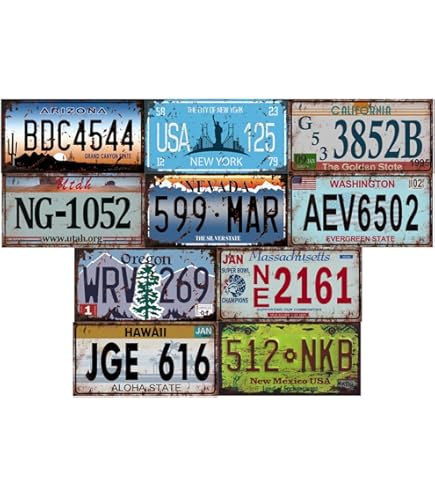 Voitures Américaines OPO 10 - Lot De 40 PLAQUES D' IMMATRICULATION De Voiture USA En Supernatural Integrale