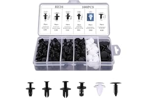 Erismithh Car Retaining Clips 100pcs Plastic 6 Types Car Fixing Clips Universal Car Mounting Clip Set Nylon Trim Clips Push Retainer Bumper Expansion Rivets