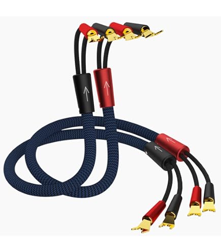 Doppio, In ABS-Plastica Con Contatti In Oro, Misure 95x75 Mm - Foto 6