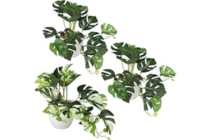 MIGUBIGU Set di 3 Piante Finte Artificiale 20CM, Piante Finte Altamente Realistico con Bianca Plastica Vasi, Pianta di Monstera Tropicale Interno Esterno per Balcone, Camera da Letto Deko