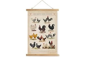 XIAOAIKA Affiche Vintage des Races de Poules - Poster Éducatif avec Cadre en Bois, Décoration Murale Idéale pour les Amoureux de la Bassecour, 30 x 40 cm