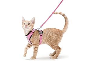 rabbitgoo Pettorina Gatto Antifuga con Guinzaglio, Guinzaglio per Gatti Regolabile, Pettorina Cane Taglia Piccola Riflettente, Imbracatura Gatto Adulto in Maglia Traspirante per Passeggiate, Rosa, XS