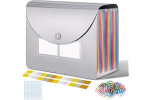 CHILLSILA Cartella Portadocumenti A4, Porta Documenti Espandibile 24 Tasche, Portatile Fisarmonica Organizzatore per Casa Scuola Ufficio Viaggio (con Coperchio) (Argento)