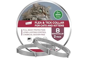 ROAMROVER Confezione da 2 Collare Antiparassitario per Gatti, Con Oli Essenziali Naturali, Impermeabile e Regolabile – Protezione di 16 Mesi contro Pulci e Zecche – Prevenzione Naturale Senza Prodotti Chimici