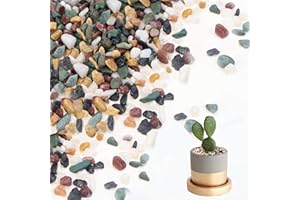 KXVXXV Kleine Dekosteine Bunt für Vasen 900g (6-15mm) Deko Kieselsteine Kleine Dekosteine für Aquarium Ziersteine Innen für Blumentopf