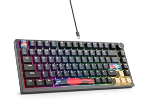 SbocKeeb V400 Teclado Mecanico 75% Gasket Mouted, Personalizado Intercambiable En Caliente 75% TKL Cableado Mecánico RGB Teclado con Almohadillas Que Absorben El Sonido, Americano QWERTY Programable