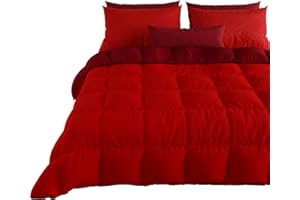 PETTI Artigiani Italiani - Trapunta Matrimoniale Invernale, Piumone Matrimoniale, Tinta Unita Double Face Bordeaux 100% Made in Italy