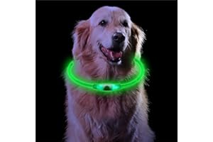Sarsumir LED Collier Lumineux Chien Rechargeable et Longueur Ajustable, Collier Chien Lumineux avec 3 Modes d'éclairage, Imperméable Collier Fluo Chien Petit Moyen Grand, Vert