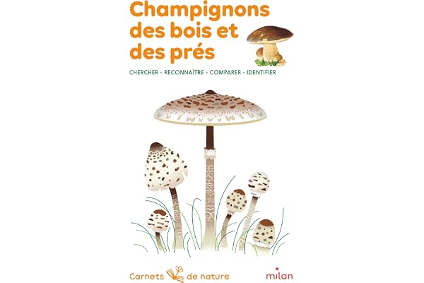Champignons des bois et des prés