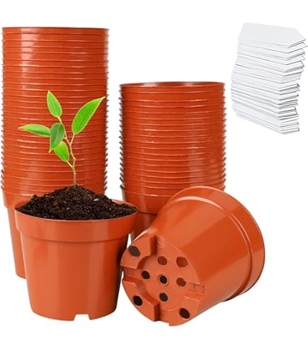 Vasi Terracotta - Materiali Per Il Giardino - Modelli E Prezzi Vasi Di Terracotta - Foto 6