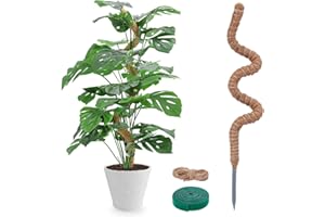 YOGINGO Moosstab für Monstera - 120cm Biegsame Pflanzenstütze für Indoor, Handgemachte Coco Coir Pole Rankhilfe Unterstützung für Creeper Wachsen Nach Oben