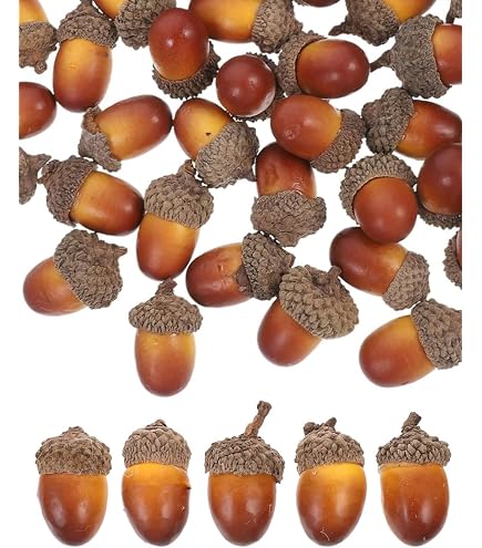 SOIA ESSICCATA ARTIFICIALE PVC ghiande vere frutta falsa frutta EUR 15