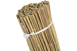HAZIQ 2ft-3ft-4ft-5ft Bamboo Canes/Stake/Pole Garden Plant Flower Support Sticks Outdoor/Indoor Plants Support Natural Strong (10, 6ft - 180cm (14-16mm))