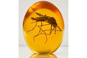 VEOJEIN Komar jurajski 3D - komar w bursztynie - realistyczna kolekcja jurajska - płaski przycisk do papieru z żywicy - DNA dinozaura