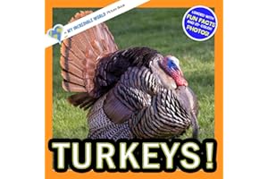 Turkeys!: A My Incredible World Picture Book for Children (My Incredible World: Nature and Animal Picture Books for Children)