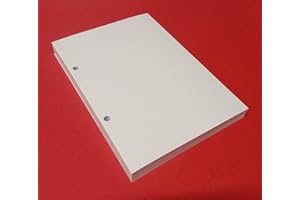 TIPOME 100 Fogli con 2 Fori in Formato DIN A5 14,5x20,5cm. Carta bianca spessa 120gr, Refill Ricarica Ricambio per raccoglitore con 2 anelli distanti 8cm
