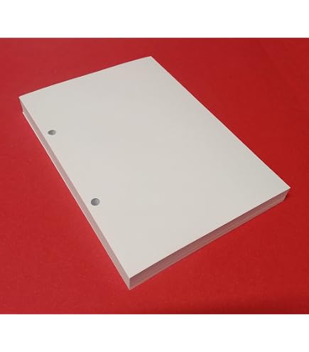 Recharge 200 Feuilles A5 Carreaux 5 Mm - 400 Pages Blanc 120 G - 2 Trous Pour Classeur Anneaux 8 Cm - Idéal Études Et Organisation