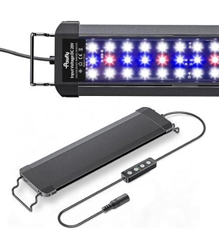 Dennerle Trocal Amazon Day Lumire pour Aquariophilie T8 25 W 742 mm :  Amazon.fr: Animalerie