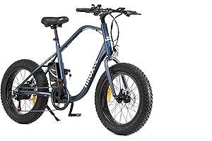 Nilox E-Bike J3 Bicicleta eléctrica con pedaleo asistido