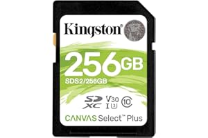 Kingston Canvas Select Plus SD - SDS2/32GB Class 10 Uhs-I, 256 GB