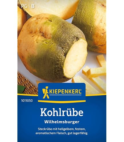 Quedlinburger Saatgut Herbstrbe Samen : Amazon.de: Garten