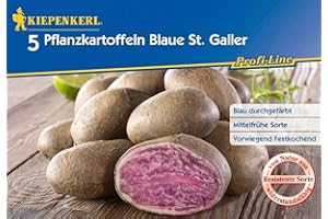 KIEPENKERL Profi-Line Pflanzkartoffeln, Blaue St. Galler, Inhalt: 5 Stück