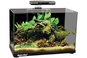AquaOne Focus 36 Glass Aquarium 36L 50x25x36cm Black