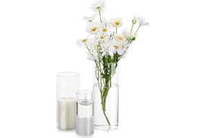 GLASSEAM Vase À Fleurs En Verre Cylindrique Transparent, 3 Pièces/Ensemble De Vases De Base Modernes En Verre Pour Décoration De Table, Centres De Mariage,Bougeoirs Pour Ornements De Salon, 15/20/25 Cm De Haut
