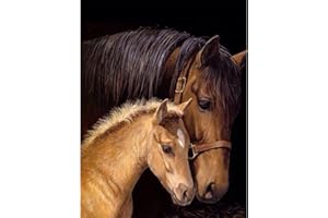 MXJSUA 5D Diamond Painting Kit Completo Diamond Painting Cavallo Pittura Diamante 5D Diamond Painting Cavallo Bianco Ricamo Strass Punto Croce Kit per Pittura a Mosaico 5D 30X40cm Famiglia di Cavalli