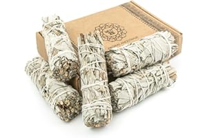 MUT22 5 Weißer Salbei 10 cm Premium Kalifornischer, 100% natürlich und reinigend, ideal für spirituelle und energetische Rituale