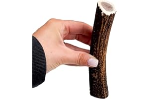 Antler Chew Antler Dog Chews Medium Plus (100-130g, From 14cm) Sanded, Naturally Shed, Ideal Toys for Moderate Chewers, Supports Dental Health, Long-Lasting