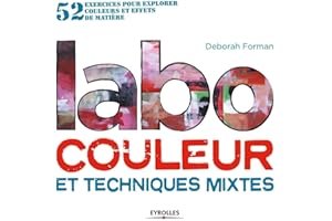 Labo couleur et techniques mixtes: 52 exercices pour explorer couleur et effets de matière.