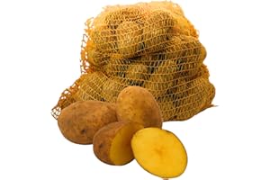 ‎FRUCHTVERSAND24 FRUCHTVERSAND24® Speisekartoffeln 5kg Linda - feiner Geschmack, festkochend & gelbfleischig, für Bratkartoffeln, Kartoffelsalat, Ofenkartoffeln, Pellkartoffeln, Salzkartoffeln