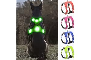 YFbrite Harnais lumineux pour chien, harnais pour chien LED rechargeable par USB, harnais réfléchissant pour chien, lumières pour chien, harnais confortable et réglable pour chien (vert, taille M)